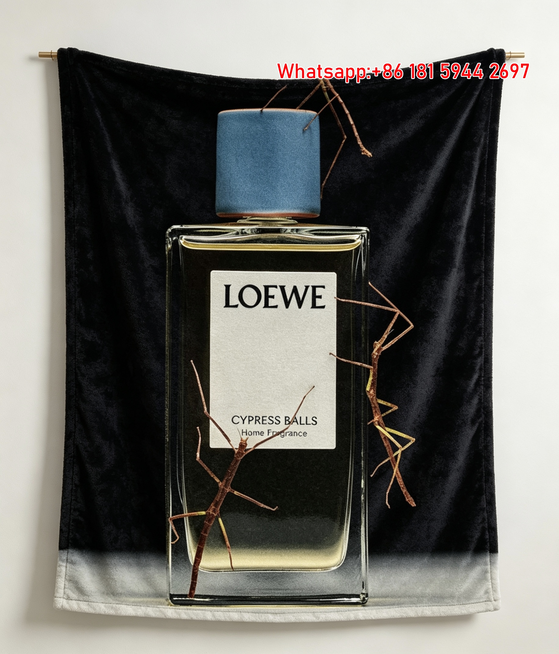 Loewe 001 Swan Flannel Fleece Throw Blanket L232